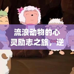 流浪动物的心灵励志之旅,逆境中的坚韧与希望