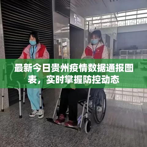 最新今日贵州疫情数据通报图表，实时掌握防控动态
