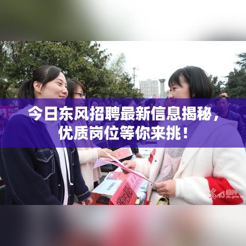 今日东风招聘最新信息揭秘，优质岗位等你来挑！