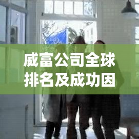 威富公司全球排名及成功因素深度解析