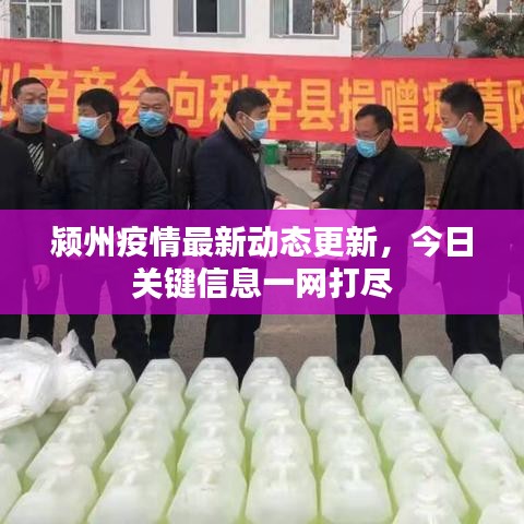 颍州疫情最新动态更新,今日关键信息一网打尽