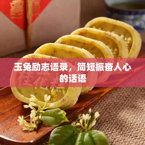 玉兔励志语录，简短振奋人心的话语