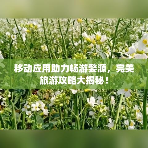 移动应用助力畅游婺源，完美旅游攻略大揭秘！