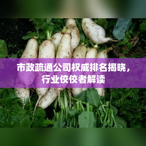 市政疏通公司权威排名揭晓,行业佼佼者解读