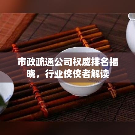 市政疏通公司权威排名揭晓,行业佼佼者解读