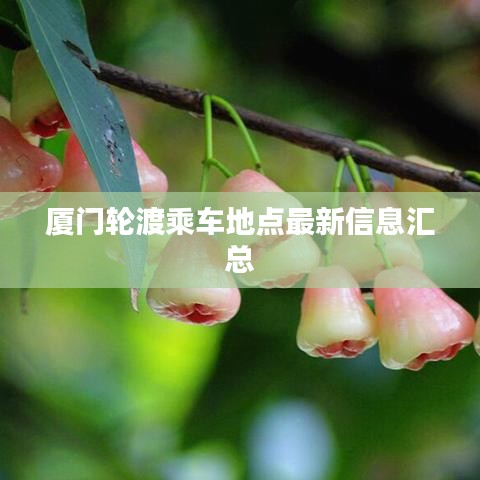 厦门轮渡乘车地点最新信息汇总