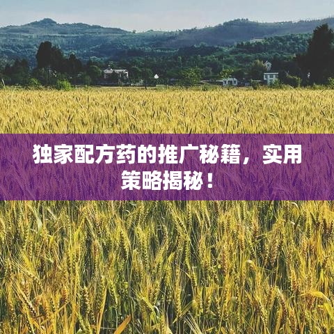 独家配方药的推广秘籍,实用策略揭秘!