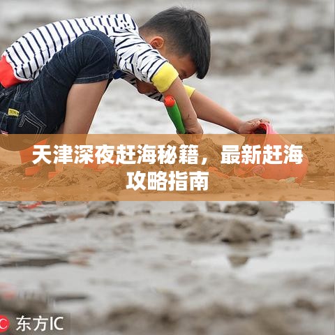 天津深夜赶海秘籍,最新赶海攻略指南