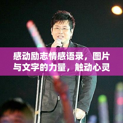 感动励志情感语录,图片与文字的力量,触动心灵的力量!