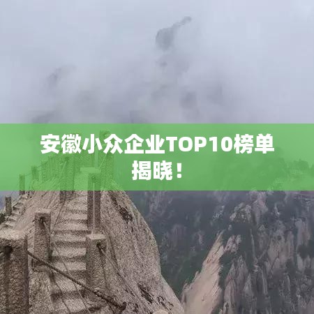 安徽小众企业TOP10榜单揭晓!