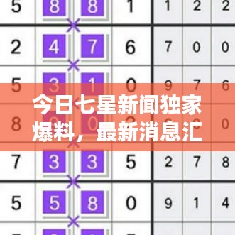 今日七星新闻独家爆料,最新消息汇总