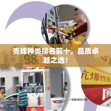 壳牌种类排名前十，品质卓越之选！