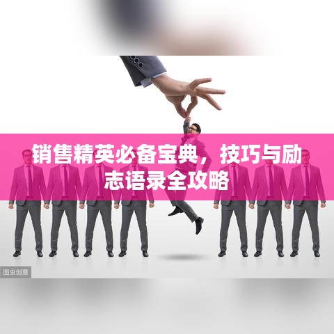 销售精英必备宝典,技巧与励志语录全攻略