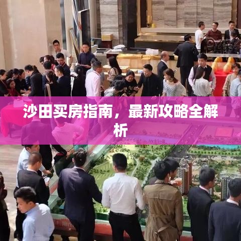 沙田买房指南，最新攻略全解析