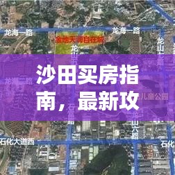沙田买房指南,最新攻略全解析