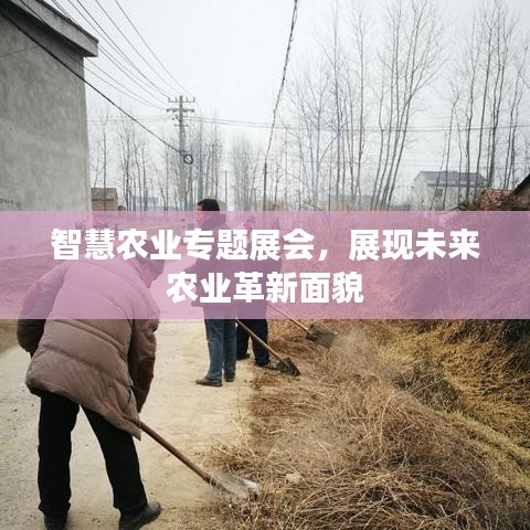 眉开眼笑 第5页