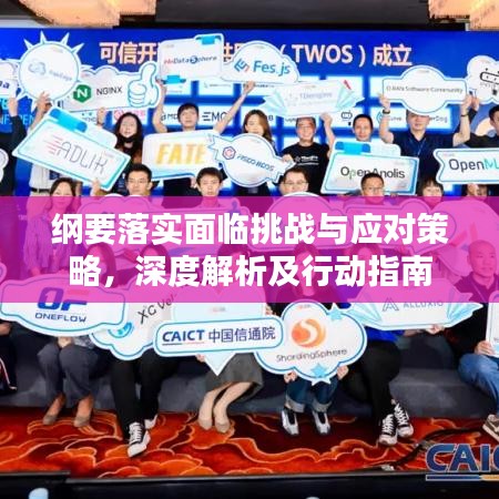 纲要落实面临挑战与应对策略,深度解析及行动指南