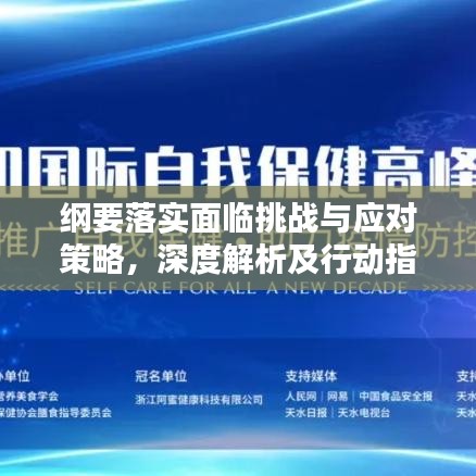 纲要落实面临挑战与应对策略,深度解析及行动指南