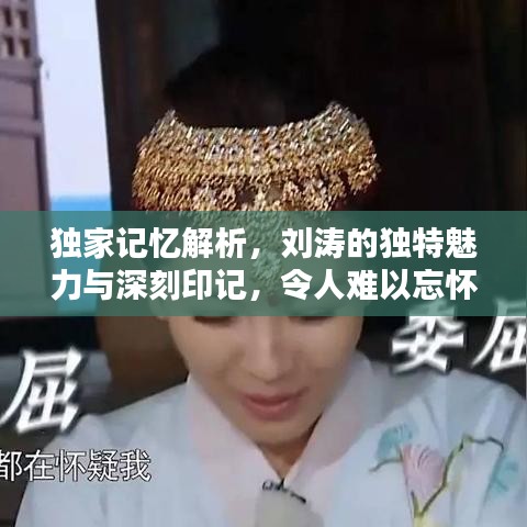 独家记忆解析，刘涛的独特魅力与深刻印记，令人难以忘怀！