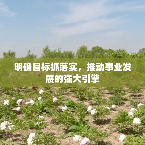 明确目标抓落实，推动事业发展的强大引擎