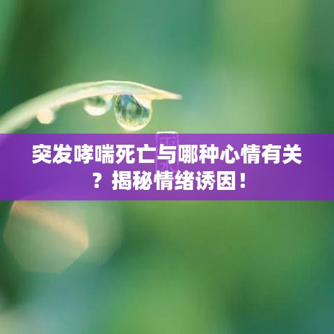 突发哮喘死亡与哪种心情有关?揭秘情绪诱因!