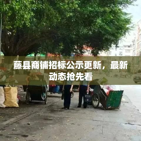 藤县商铺招标公示更新，最新动态抢先看