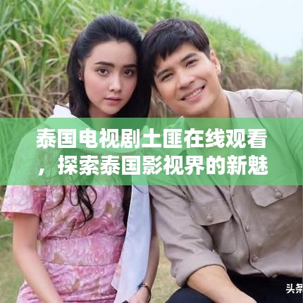 泰国电视剧土匪在线观看，探索泰国影视界的新魅力