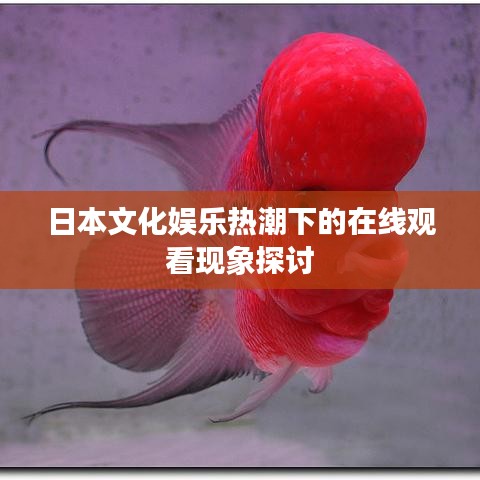 日本文化娱乐热潮下的在线观看现象探讨