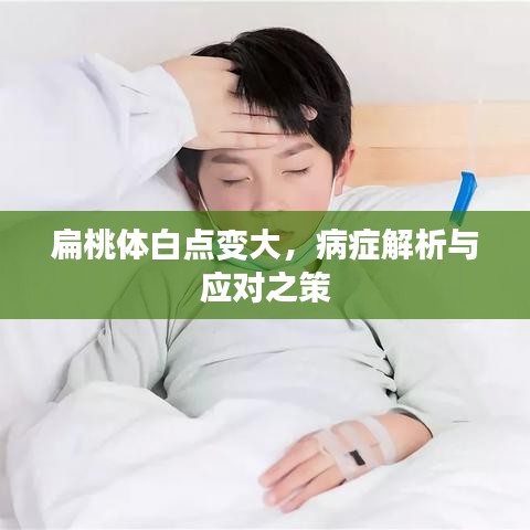 扁桃体白点变大，病症解析与应对之策