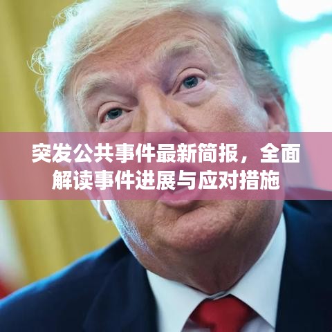 突发公共事件最新简报，全面解读事件进展与应对措施