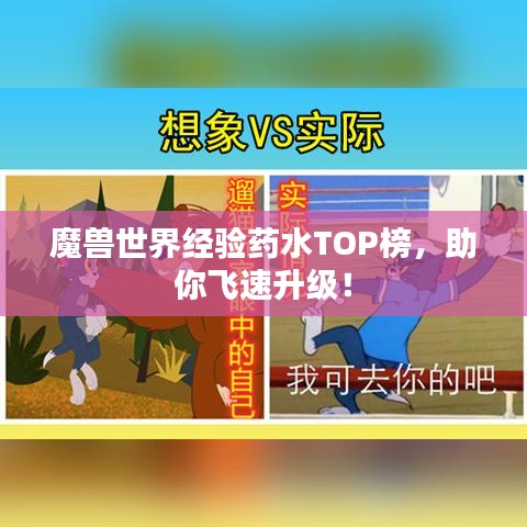 魔兽世界经验药水TOP榜，助你飞速升级！