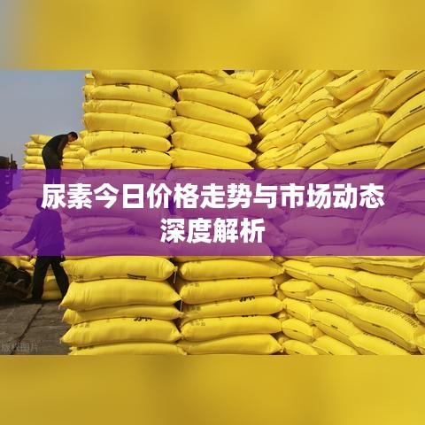 尿素今日价格走势与市场动态深度解析