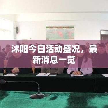 沭阳今日活动盛况，最新消息一览