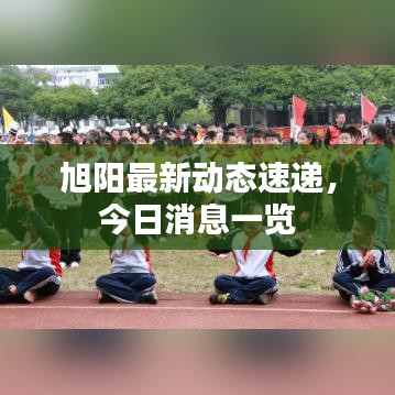 旭阳最新动态速递，今日消息一览