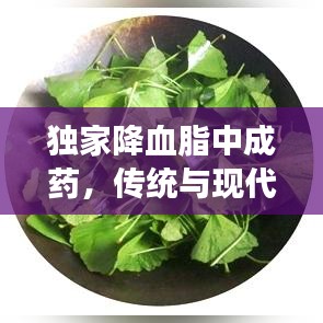 独家降血脂中成药，传统与现代完美融合，健康之选！