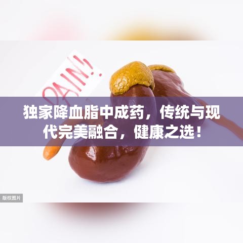 独家降血脂中成药,传统与现代完美融合,健康之选!