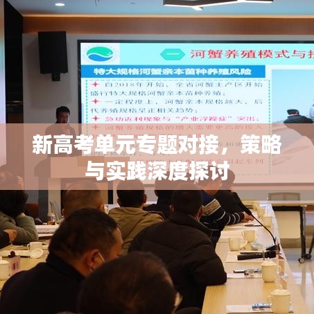新高考单元专题对接，策略与实践深度探讨