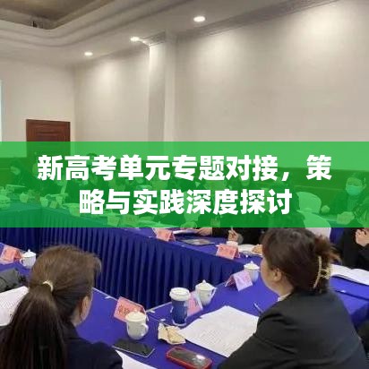 新高考单元专题对接,策略与实践深度探讨