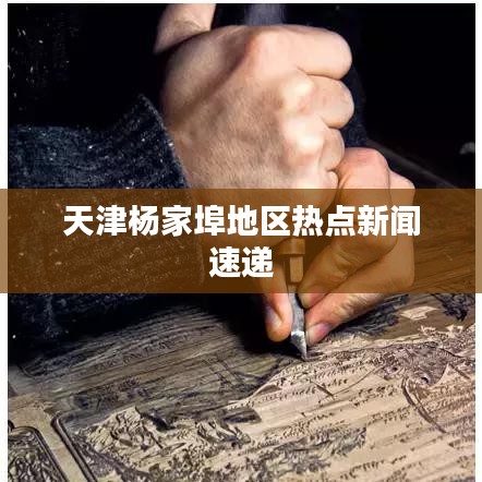 天津杨家埠地区热点新闻速递