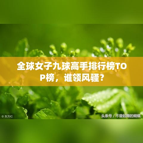 全球女子九球高手排行榜TOP榜，谁领风骚？