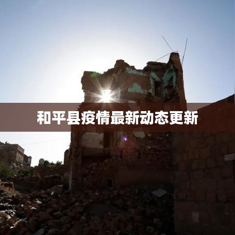 和平县疫情最新动态更新