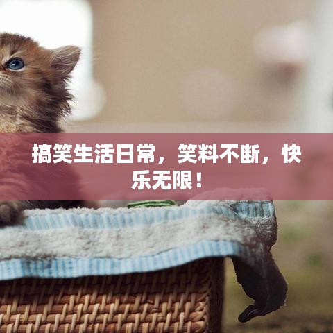 搞笑生活日常,笑料不断,快乐无限!