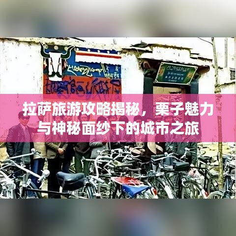 拉萨旅游攻略揭秘，栗子魅力与神秘面纱下的城市之旅