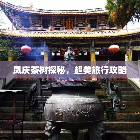 凤庆茶树探秘，超美旅行攻略