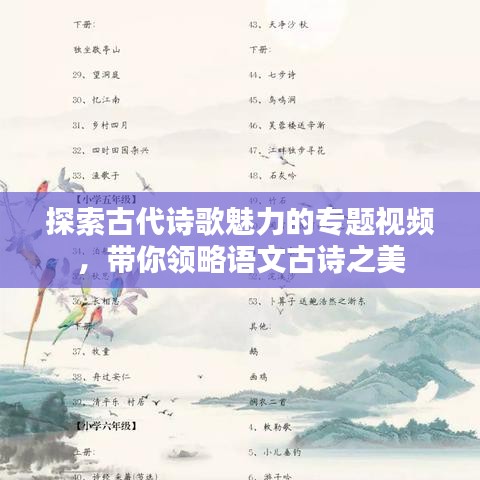 探索古代诗歌魅力的专题视频，带你领略语文古诗之美