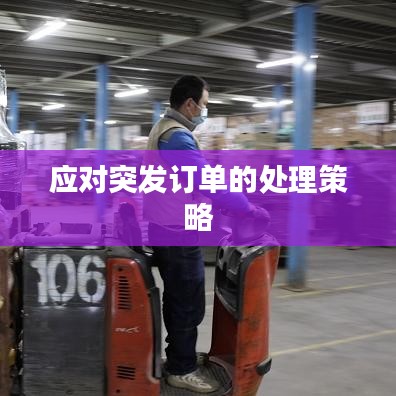 应对突发订单的处理策略