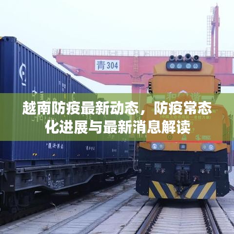 越南防疫最新动态，防疫常态化进展与最新消息解读