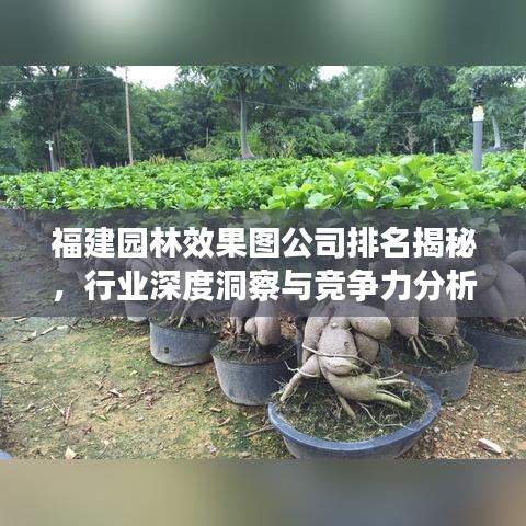 福建园林效果图公司排名揭秘,行业深度洞察与竞争力分析