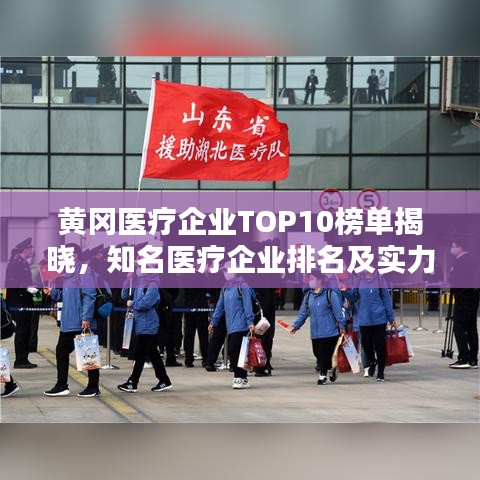 黄冈医疗企业TOP10榜单揭晓，知名医疗企业排名及实力解析