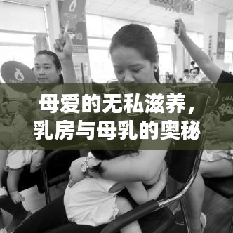 母爱的无私滋养,乳房与母乳的奥秘贡献